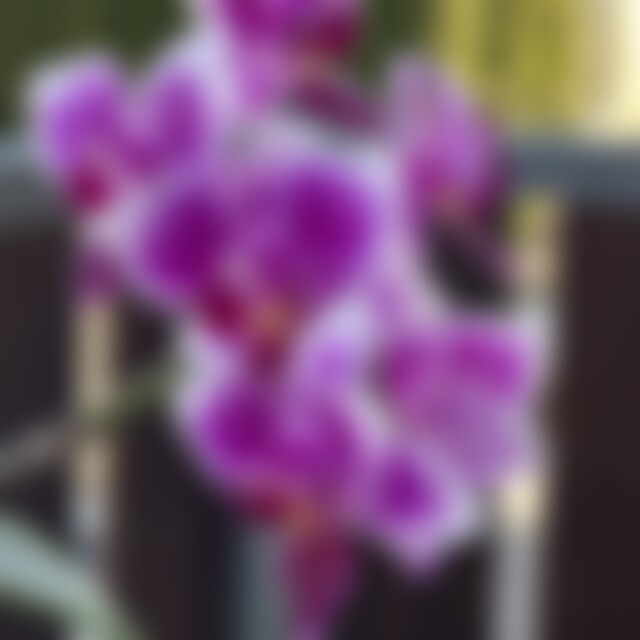 Bm7S (47) aus Welzheim