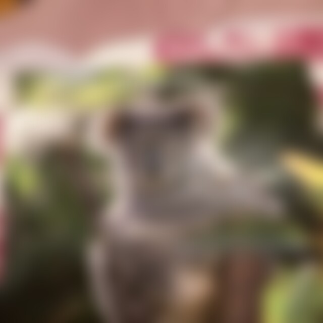 pinke2026 (39) aus Reulingen
