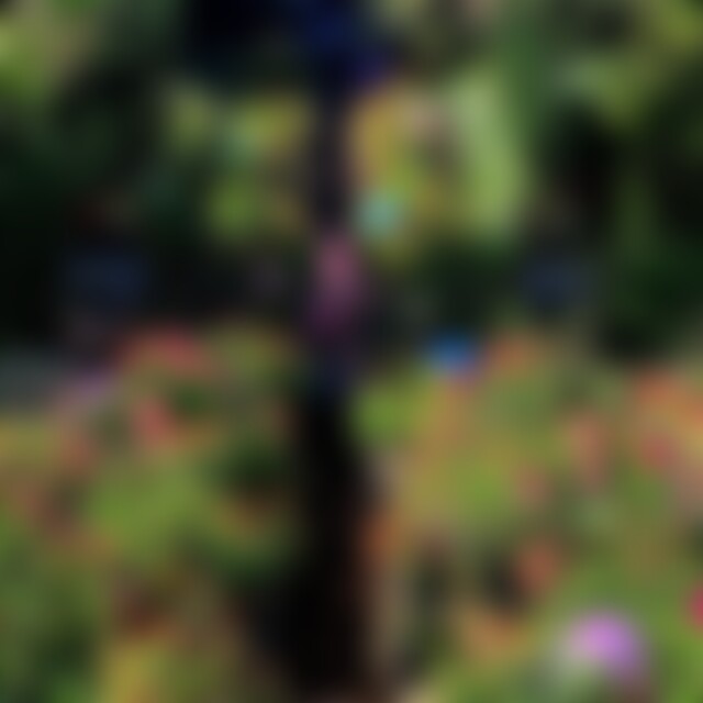 MissFlower (47) aus Karlsruhe