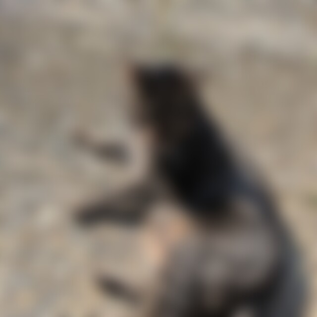 Gisa888 (66) aus Kleinwallstadt