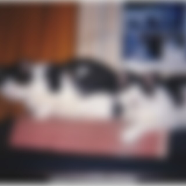 arena77 (49) aus Malente