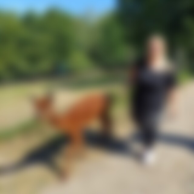Carmen75 (50) aus Bottrop