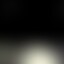 Profilfoto von JilSommer