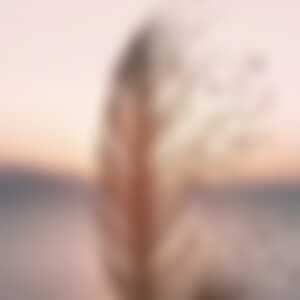 HiddenHope (29) aus CR