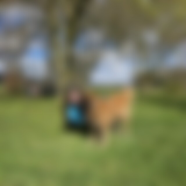 Anajsa (20) aus Moers