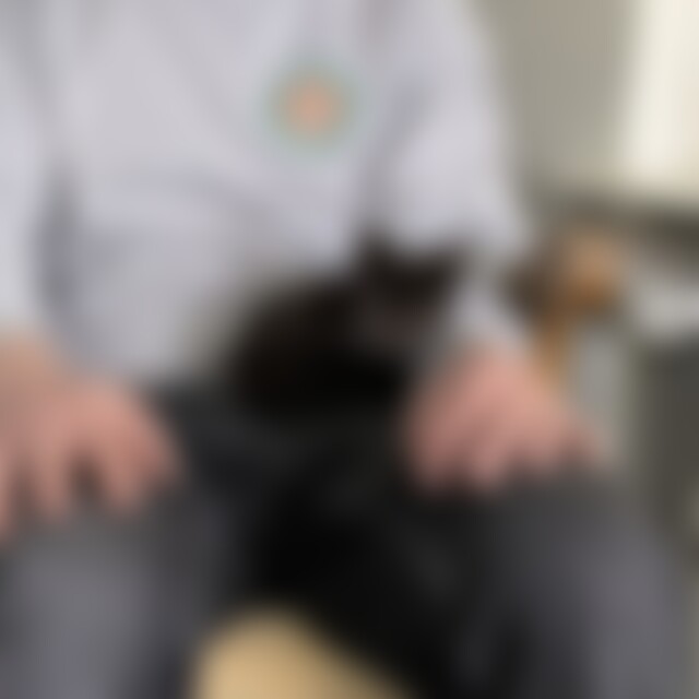 Eicke (34) aus Lübeck