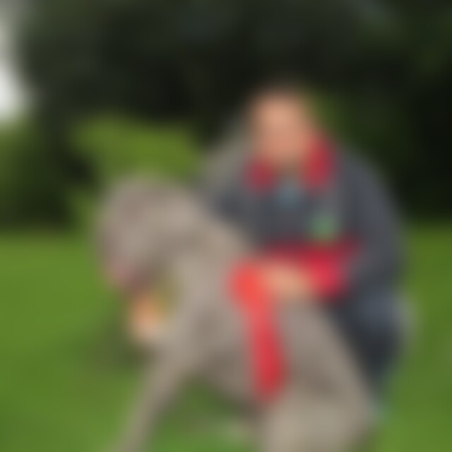 JurajHeinrich (43) aus Hannover