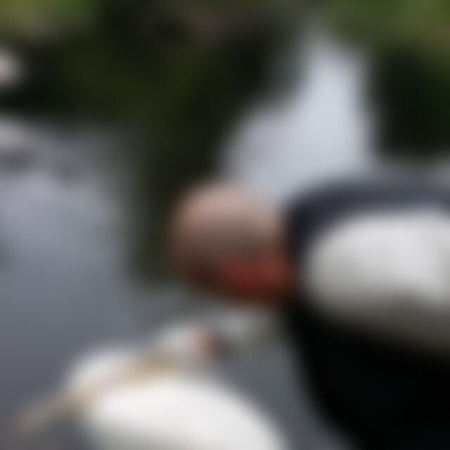 Josepereira (56) aus Bad Lauterberg im Harz