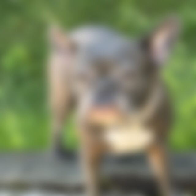 scheich07 (51) aus Buchs ZH