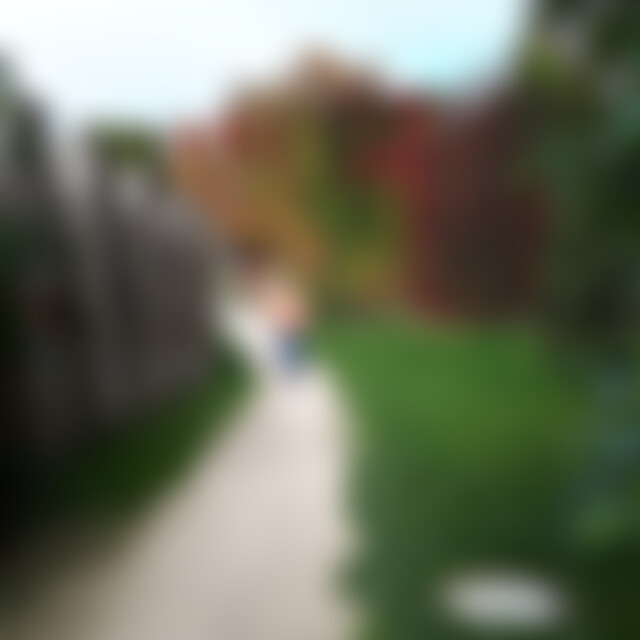 bine72 (53) aus Grafenau