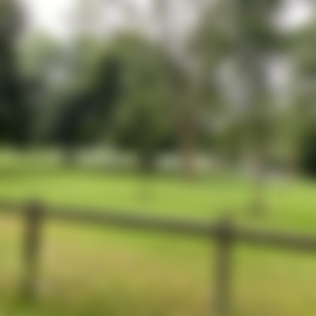 ribeiro (52) aus frankfurt am main