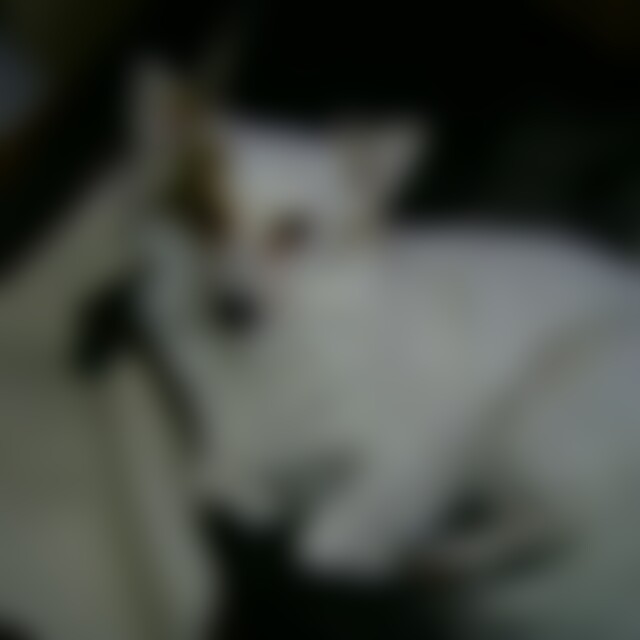 elkchen1980 (45) aus köthen