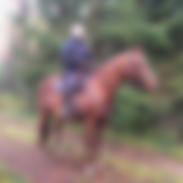 Danielx25 (41) aus Büchenbach