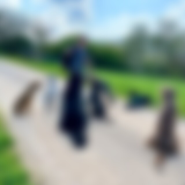 Danielx25 (41) aus Büchenbach