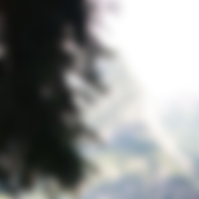 syntaxqueen (47) aus 