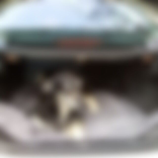 luckyLutz (68) aus Chemnitz