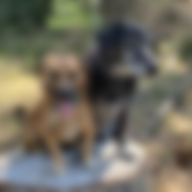 widola (65) aus Bad Laasphe