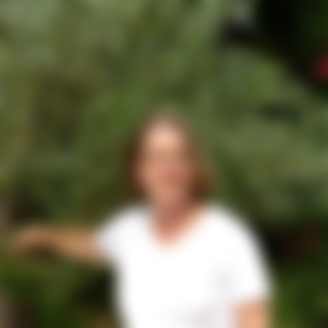 DIOCEAN (53) aus Elbingerode