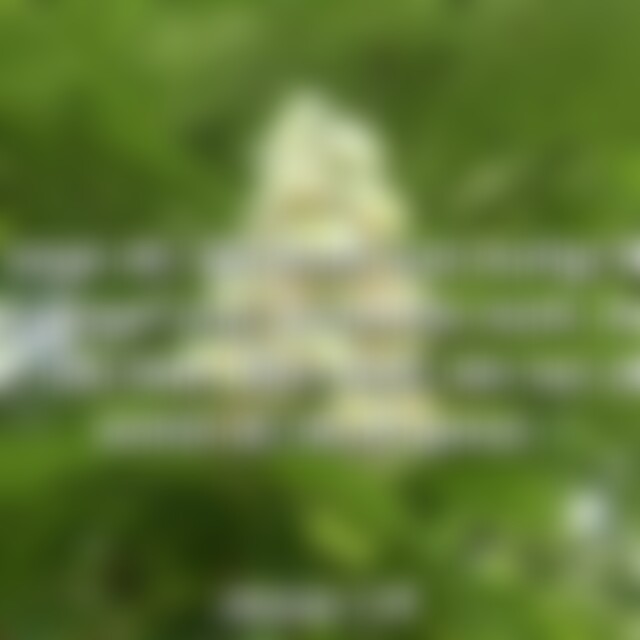 summer59 (66) aus Ulm