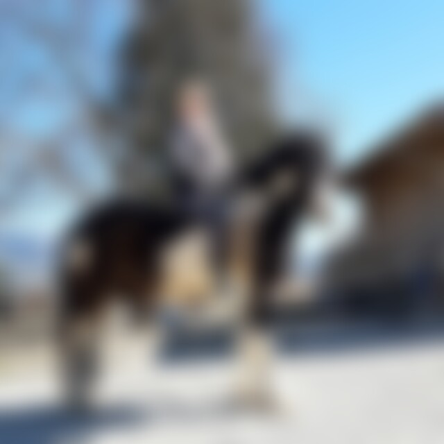 Moni2000 (58) aus Landkreis Rosenheim