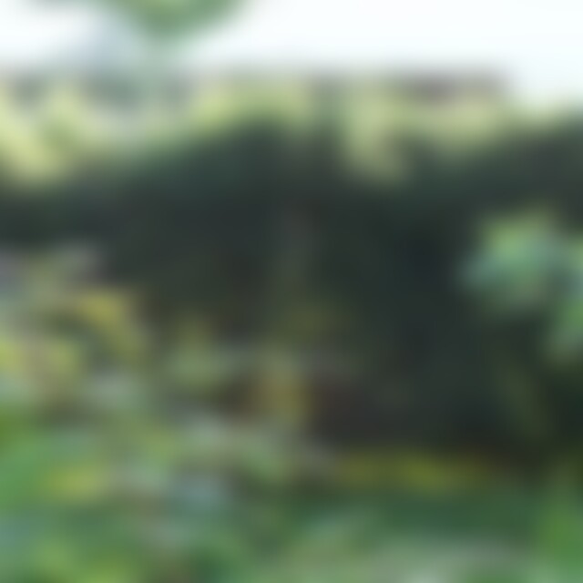 Meisterklasse (60) aus Reutlingen