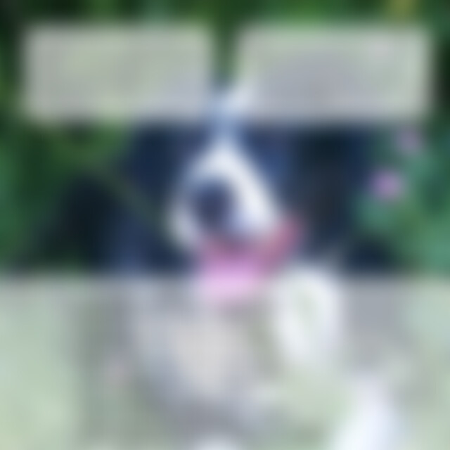 freimut (47) aus Kösching