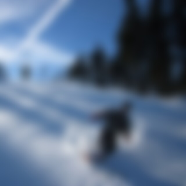 rseemann (60) aus Ober-Ramstadt