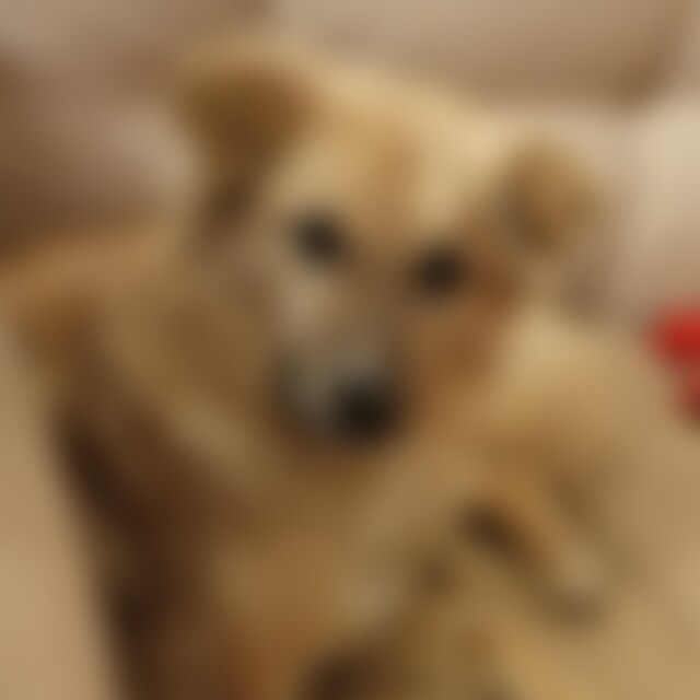 Ilona9 (58) aus Mannheim