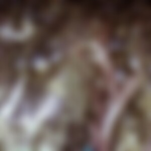 Baki (40) aus Gold Coast (AUS)