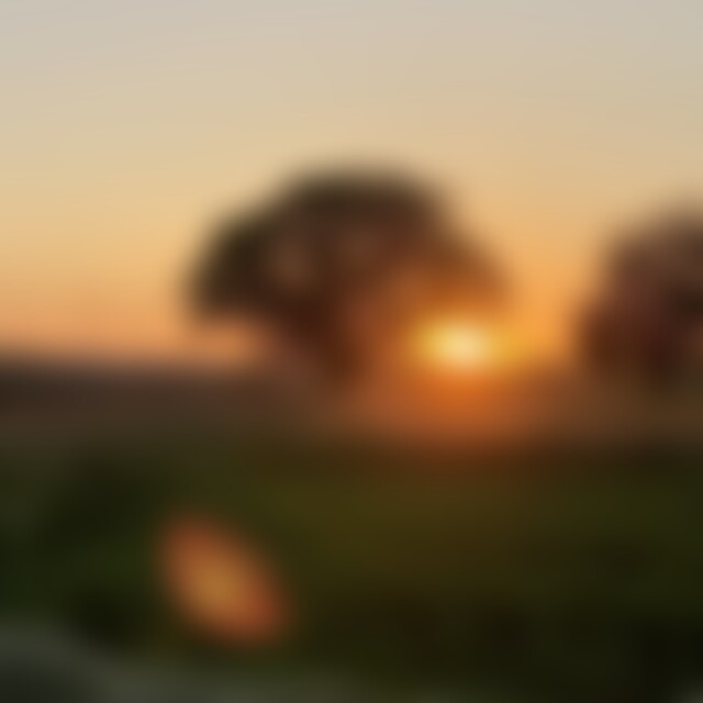 YAWEHmyHealer87 (38) aus Waldenbuch